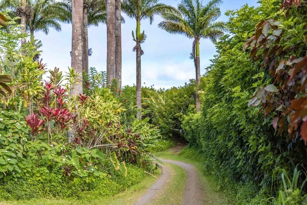 Waterfall House With Ocean Views In Haiku, Maui Huelo 0*,